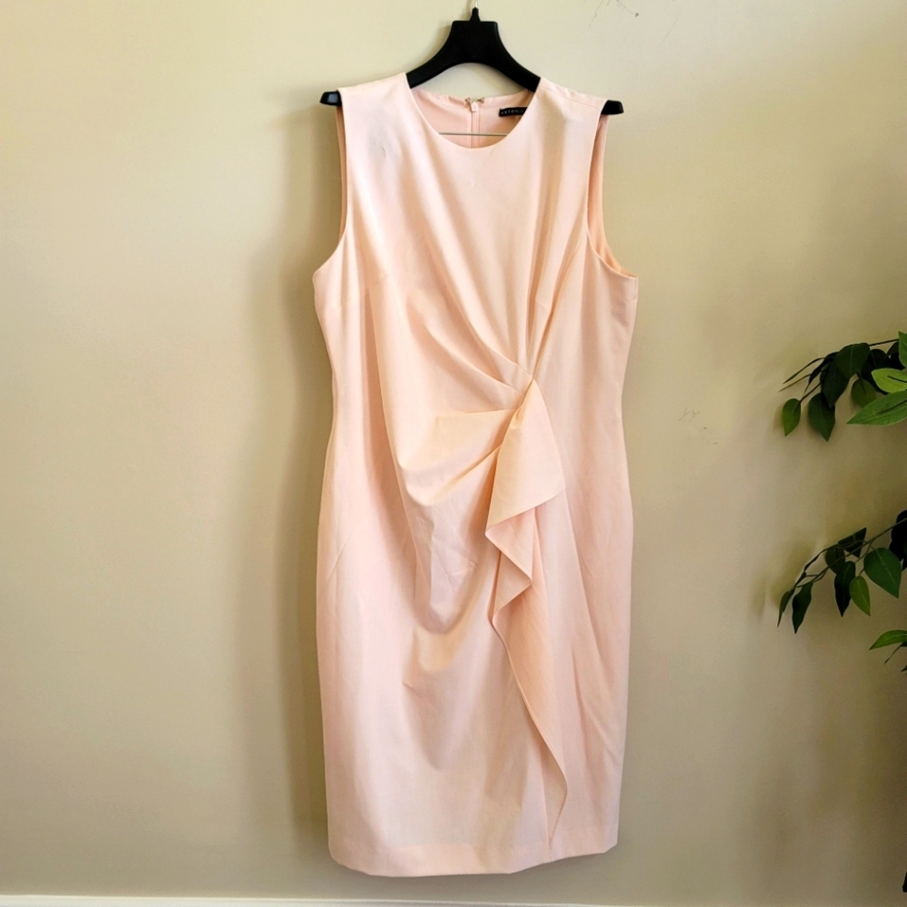 Brand New Gorgeous ANTONIO MELANI Pink Dress (Sz 14) w/Tag